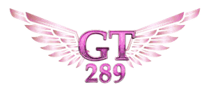 gt289-logo